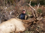 Best public elk hunting areas in colorado