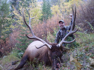 Idaho Elk Hunt, Russell Pond And B Bar C Outfitters